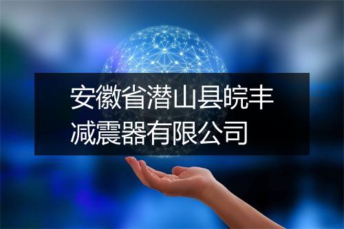 安徽省潜山县皖丰减震器有限公司