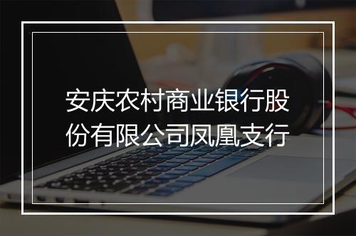 安庆农村商业银行股份有限公司凤凰支行
