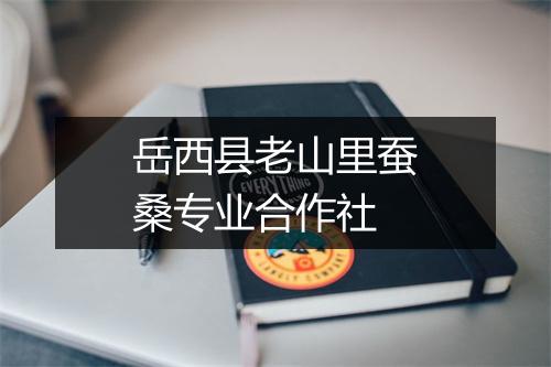 岳西县老山里蚕桑专业合作社