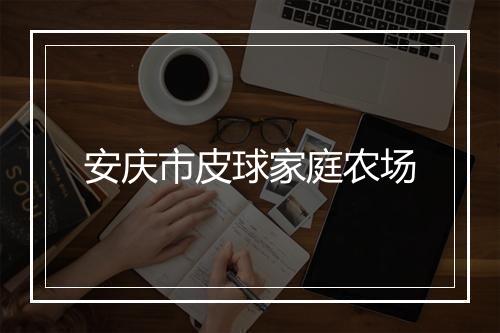安庆市皮球家庭农场