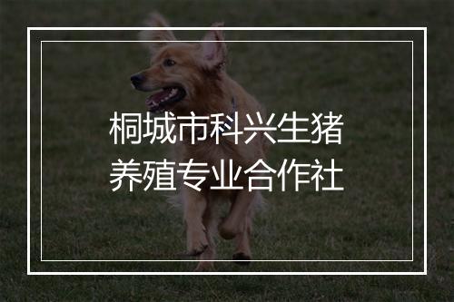 桐城市科兴生猪养殖专业合作社