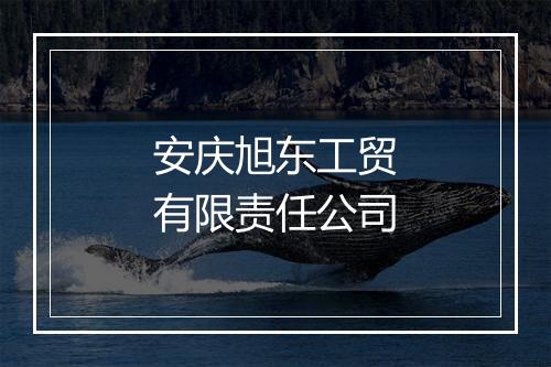 安庆旭东工贸有限责任公司
