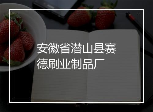 安徽省潜山县赛德刷业制品厂