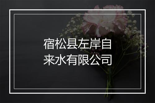 宿松县左岸自来水有限公司
