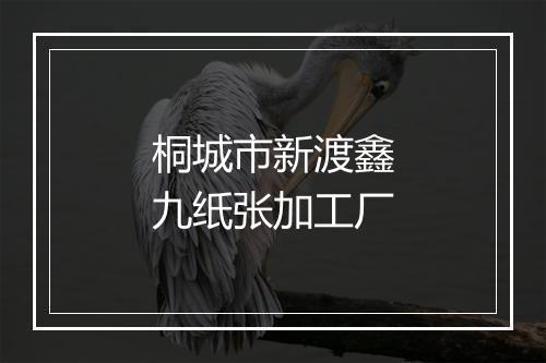 桐城市新渡鑫九纸张加工厂