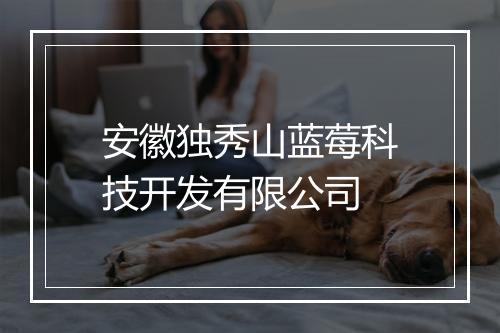 安徽独秀山蓝莓科技开发有限公司