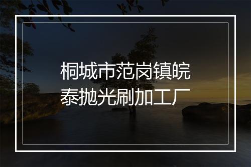 桐城市范岗镇皖泰抛光刷加工厂