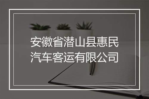 安徽省潜山县惠民汽车客运有限公司