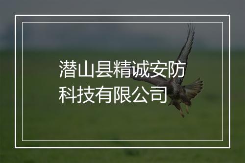潜山县精诚安防科技有限公司
