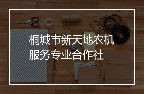 桐城市新天地农机服务专业合作社