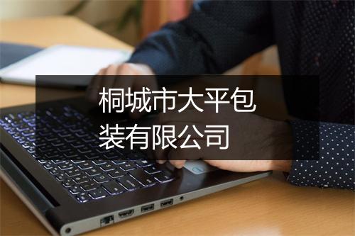 桐城市大平包装有限公司