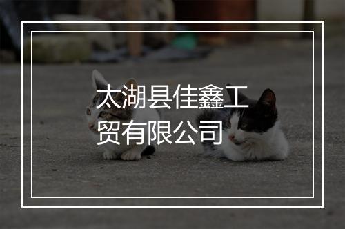 太湖县佳鑫工贸有限公司