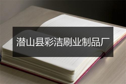 潜山县彩洁刷业制品厂