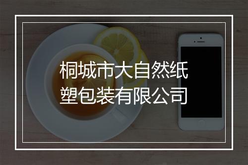桐城市大自然纸塑包装有限公司