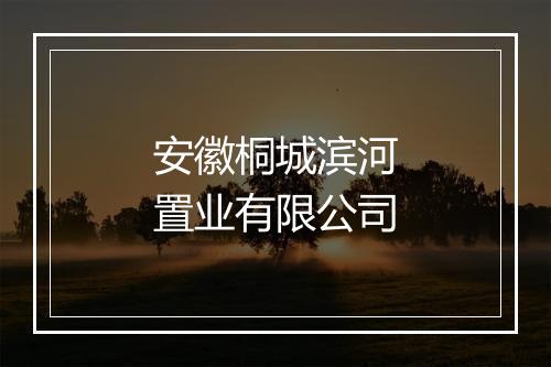 安徽桐城滨河置业有限公司