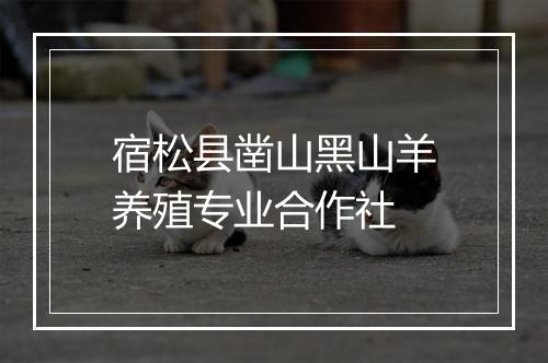 宿松县凿山黑山羊养殖专业合作社