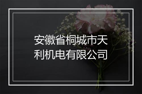 安徽省桐城市天利机电有限公司