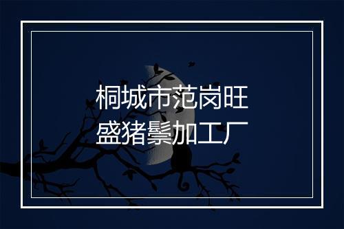桐城市范岗旺盛猪鬃加工厂