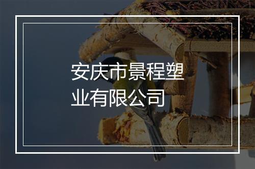 安庆市景程塑业有限公司