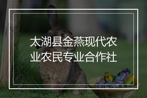 太湖县金燕现代农业农民专业合作社