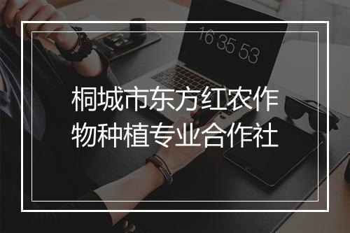 桐城市东方红农作物种植专业合作社