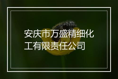 安庆市万盛精细化工有限责任公司