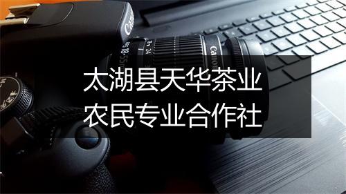 太湖县天华茶业农民专业合作社