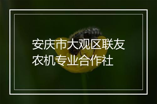 安庆市大观区联友农机专业合作社