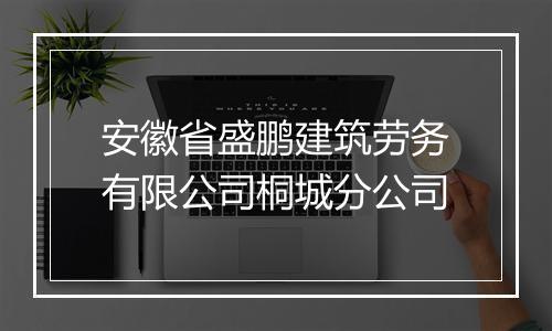 安徽省盛鹏建筑劳务有限公司桐城分公司