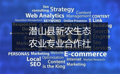 潜山县新农生态农业专业合作社