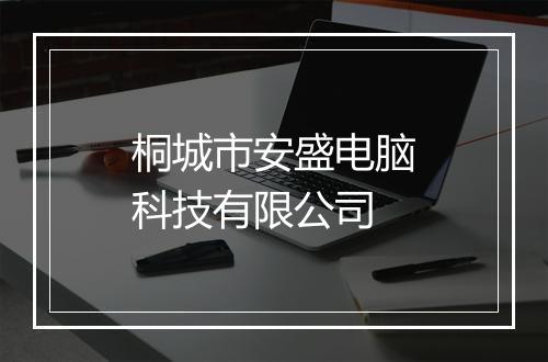桐城市安盛电脑科技有限公司