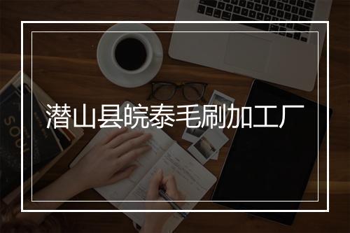 潜山县皖泰毛刷加工厂