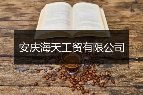 安庆海天工贸有限公司