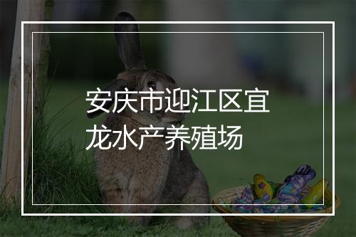 安庆市迎江区宜龙水产养殖场