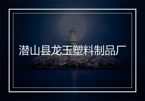 潜山县龙玉塑料制品厂