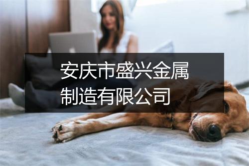 安庆市盛兴金属制造有限公司
