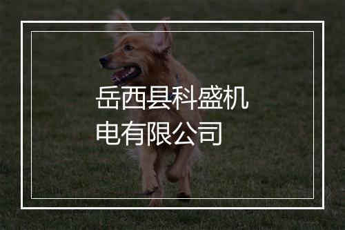 岳西县科盛机电有限公司