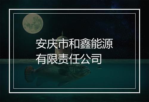 安庆市和鑫能源有限责任公司