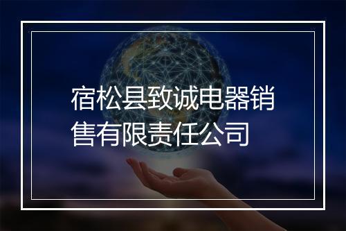 宿松县致诚电器销售有限责任公司