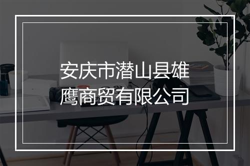 安庆市潜山县雄鹰商贸有限公司