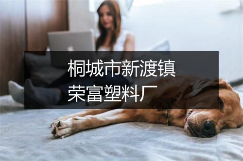 桐城市新渡镇荣富塑料厂