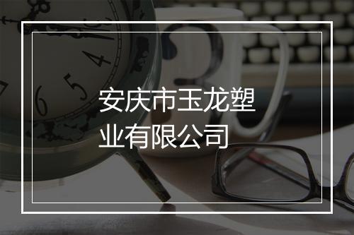 安庆市玉龙塑业有限公司