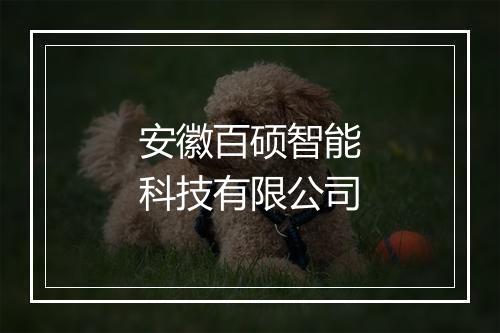 安徽百硕智能科技有限公司