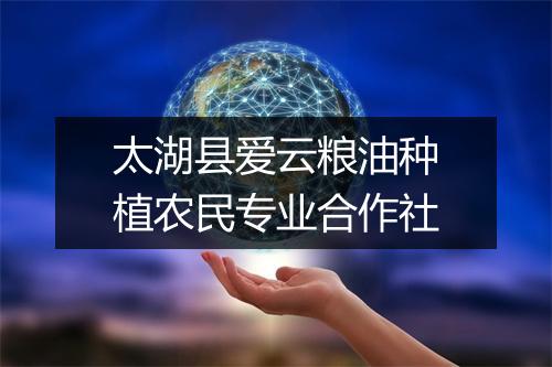 太湖县爱云粮油种植农民专业合作社