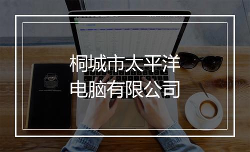 桐城市太平洋电脑有限公司