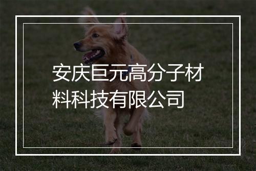 安庆巨元高分子材料科技有限公司