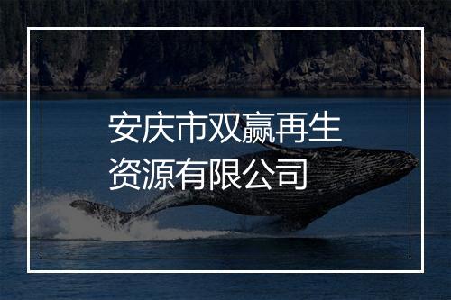 安庆市双赢再生资源有限公司