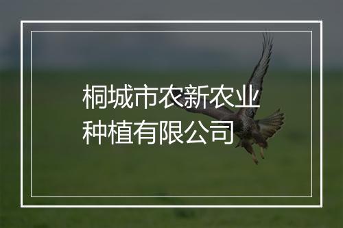 桐城市农新农业种植有限公司