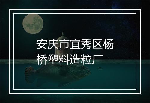 安庆市宜秀区杨桥塑料造粒厂