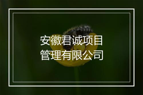 安徽君诚项目管理有限公司